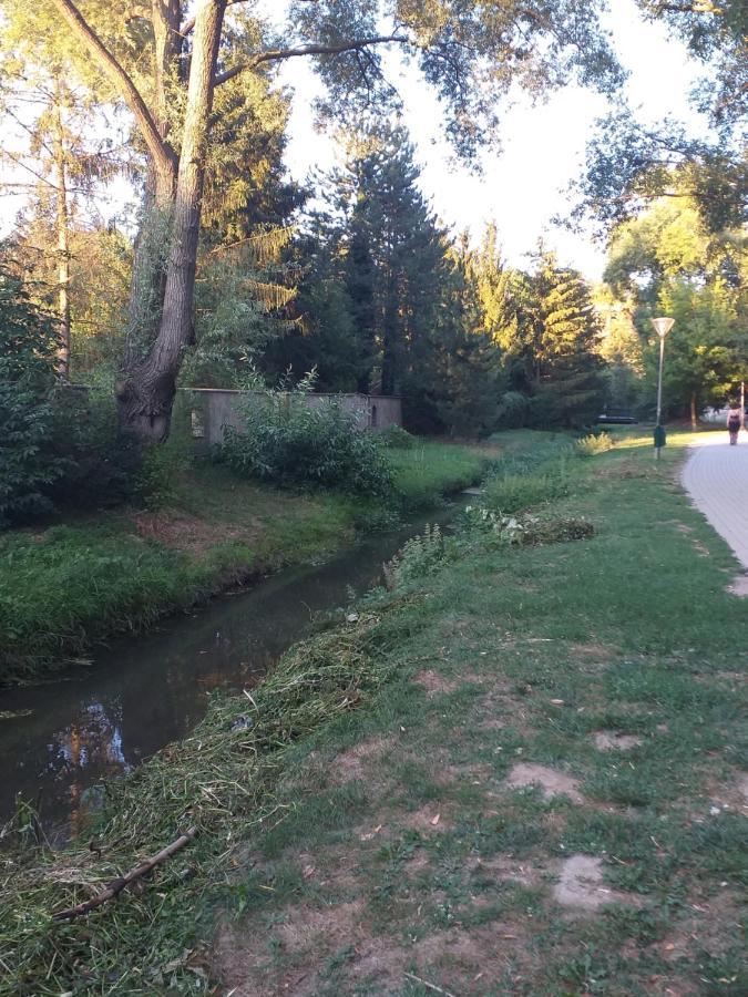 Galeria Apartman Veszprém Dış mekan fotoğraf